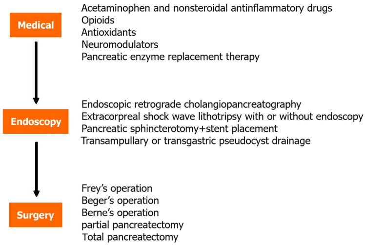 Pain in chronic pancreatitis: What can we do today?
