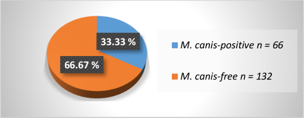 The prevalence of <i>Mycoplasma canis</i> in the vaginas of breeding bitches.