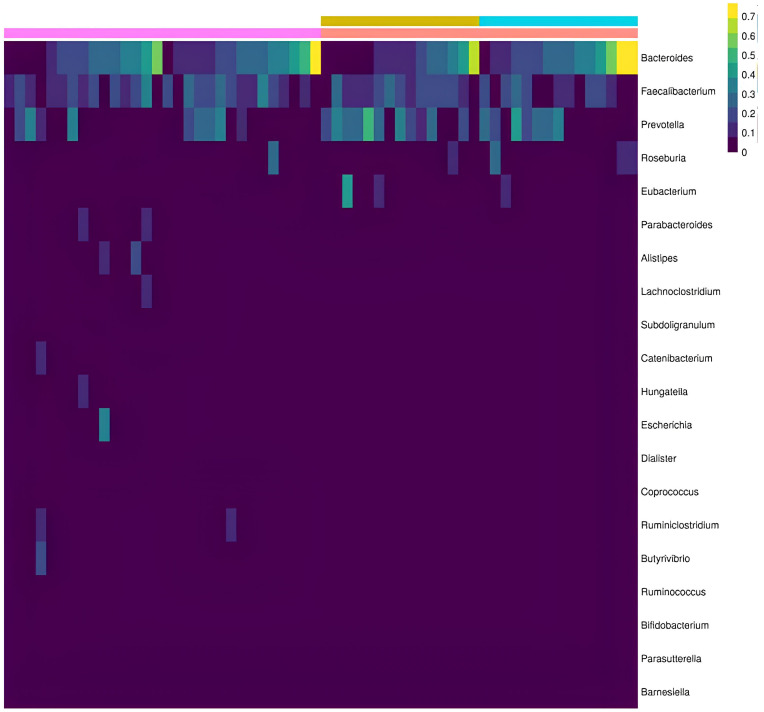 Study of the Gut Microbiome in Patients with Psoriatic Arthritis.