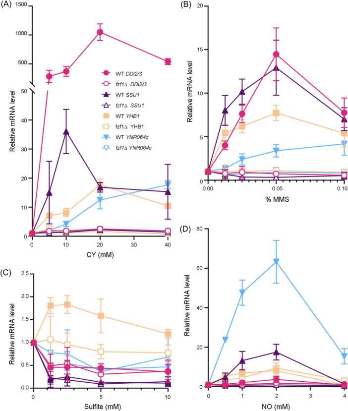Zinc finger 4 negatively controls the transcriptional activator Fzf1 in <i>Saccharomyces cerevisiae</i>.
