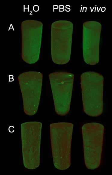 In vivo method to evaluate volumetric changes in bioceramic repair materials.