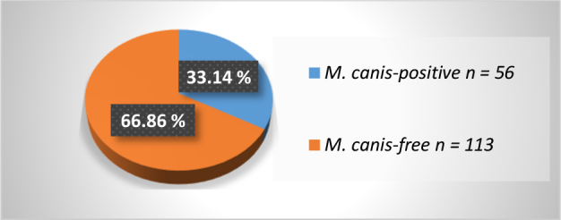The prevalence of <i>Mycoplasma canis</i> in the vaginas of breeding bitches.