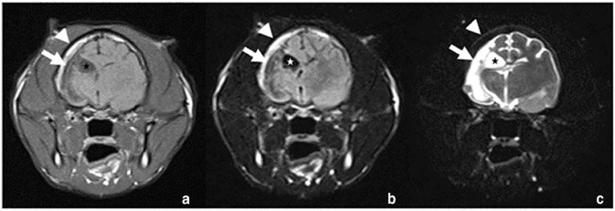 Dyke-Davidoff-Masson-like syndrome in an adult cat.