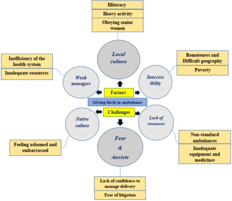 The challenges of delivery in pre-hospital emergency medical services ambulances in Iran: a qualitative study.