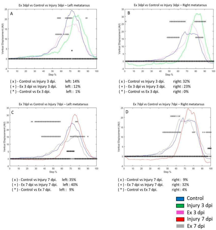 Resveratrol and Exercise Produce Recovered Ankle and Metatarsus Joint Movements after Penetrating Lesion in Hippocampus in Male Rats.