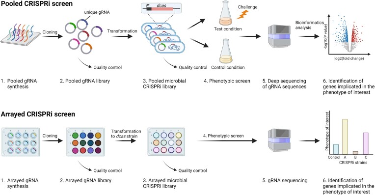 The rise and future of CRISPR-based approaches for high-throughput genomics.