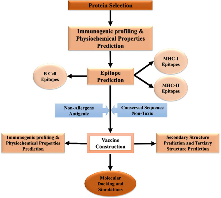 Prediction of promiscuous multiepitope-based peptide vaccine against RdRp of rotavirus using immunoinformatics studies.
