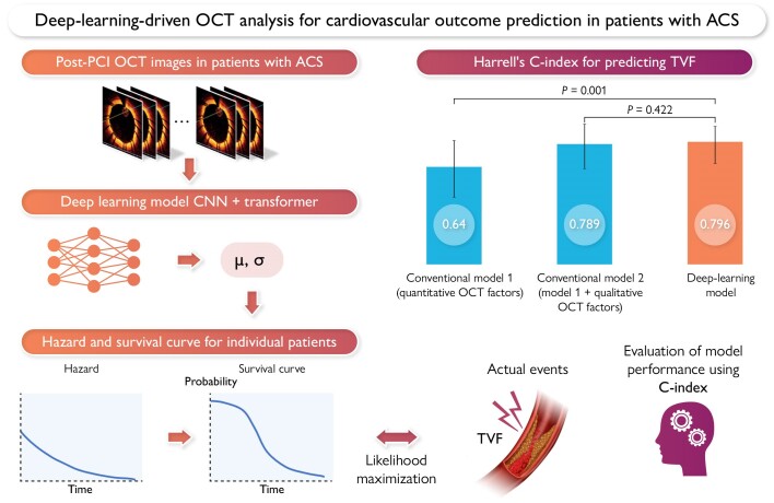 Deep-learning-driven optical coherence tomography analysis for cardiovascular outcome prediction in patients with acute coronary syndrome.