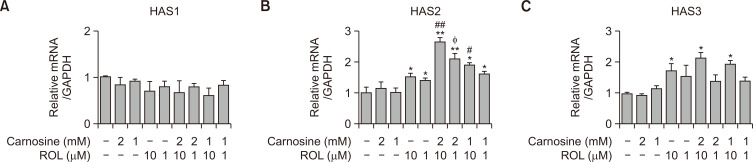 Carnosine and Retinol Synergistically Inhibit UVB-Induced PGE<sub>2</sub> Synthesis in Human Keratinocytes through the Up-Regulation of Hyaluronan Synthase 2.