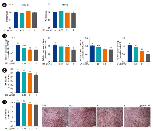 Effect of nicotinamide mononucleotide on osteogenesis in MC3T3-E1 cells against inflammation-induced by lipopolysaccharide.