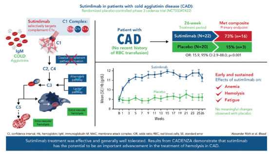 Sutimlimab for Cold Agglutinin Disease.