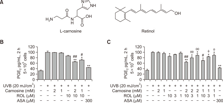 Carnosine and Retinol Synergistically Inhibit UVB-Induced PGE<sub>2</sub> Synthesis in Human Keratinocytes through the Up-Regulation of Hyaluronan Synthase 2.