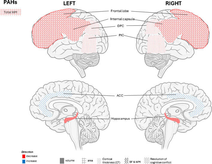Exposure to Endocrine Disruptors in Early life and Neuroimaging Findings in Childhood and Adolescence: a Scoping Review.