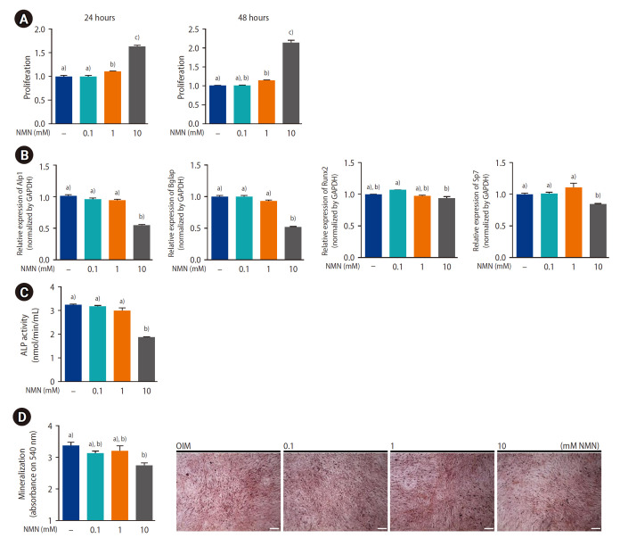 Effect of nicotinamide mononucleotide on osteogenesis in MC3T3-E1 cells against inflammation-induced by lipopolysaccharide.