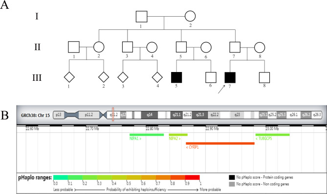 Prenatal diagnosis of fetuses with 15q11.2 BP1-BP2 microdeletion in the Chinese population: a seven-year single-center retrospective study.