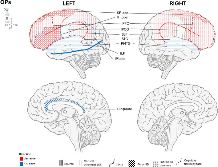 Exposure to Endocrine Disruptors in Early life and Neuroimaging Findings in Childhood and Adolescence: a Scoping Review.