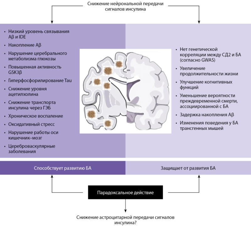 [Cognitive impairment in patients with obesity and impaired carbohydrate metabolism (dysglycemia)].