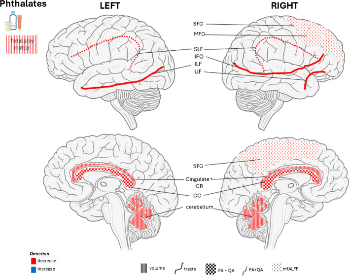 Exposure to Endocrine Disruptors in Early life and Neuroimaging Findings in Childhood and Adolescence: a Scoping Review.