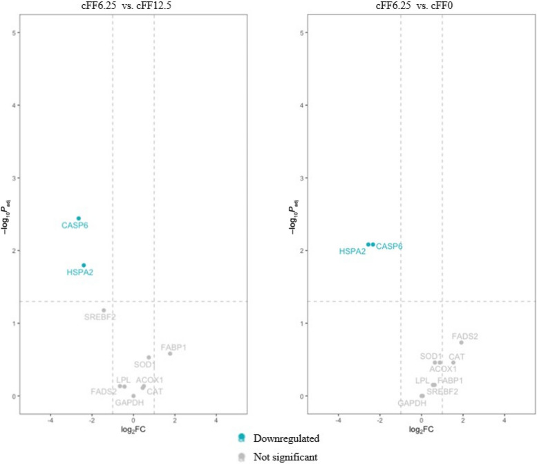 Dietary processed former foodstuffs for broilers: impacts on growth performance, digestibility, hematobiochemical profiles and liver gene abundance.