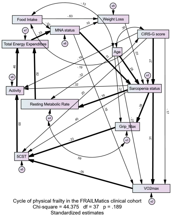 Examining the Cycle of Physical Frailty in Falls Clinic Attendees Through Structural Equation Modeling.