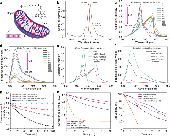 Author Correction: Visualization of cristae and mtDNA interactions via STED nanoscopy using a low saturation power probe.
