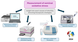 Oxidative stress affects sperm health and fertility-Time to apply facts learned at the bench to help the patient: Lessons for busy clinicians.