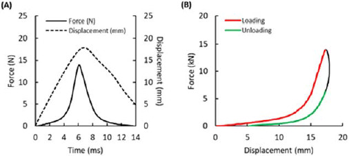 The Effect of Protective Mat Thickness on the Upper Limb Strike Force Simulation in Combat Sports and Self Defense.