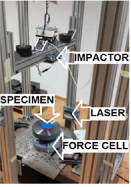 The Effect of Protective Mat Thickness on the Upper Limb Strike Force Simulation in Combat Sports and Self Defense.