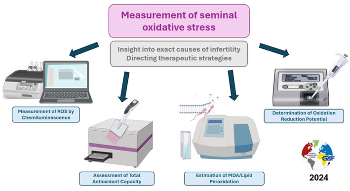Oxidative stress affects sperm health and fertility-Time to apply facts learned at the bench to help the patient: Lessons for busy clinicians.