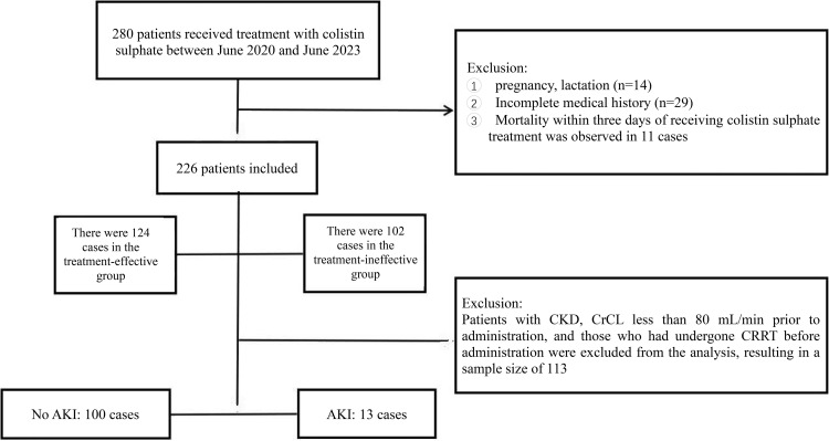 Clinical Effectiveness and Safety of Colistin Sulphate in Treating Infections Caused by Carbapenem-Resistant Organisms and Analysis of Influencing Factors.