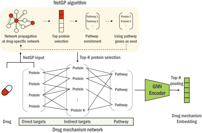 DGDRP: drug-specific gene selection for drug response prediction via re-ranking through propagating and learning biological network.