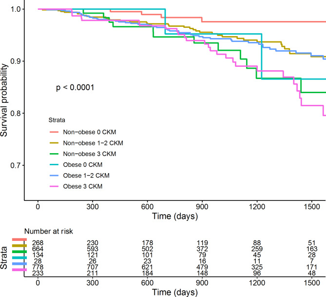 Metabolically "extremely unhealthy" obese and non-obese people with diabetes and the risk of cardiovascular adverse events: the Silesia Diabetes - Heart Project.