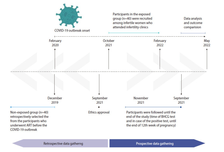Outcomes of female reproductive performance with assisted reproductive techniques after recent mild to moderate COVID-19 infections: An observational study.