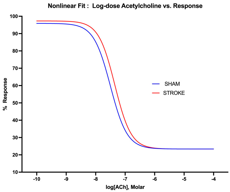 Impaired Peripheral Vascular Function Following Ischemic Stroke in Mice: Potential Insights into Blood Pressure Variations in the Post-Stroke Patient.