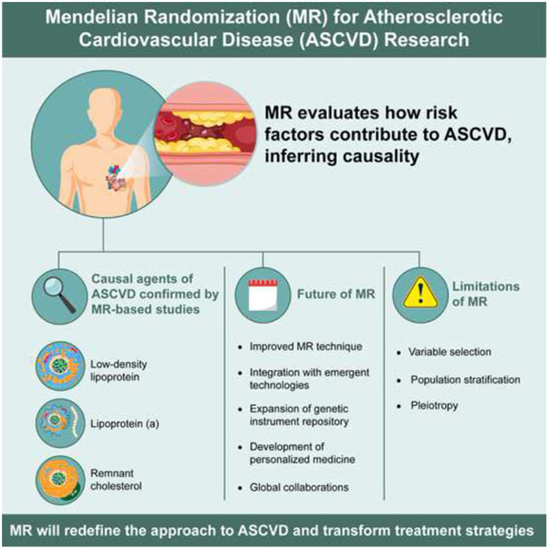 Mendelian Randomization Studies in Atherosclerotic Cardiovascular Diseases.