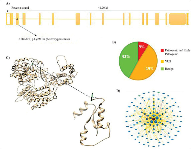 Ultra-Early Diffuse Lung Disease in an Infant with Pathogenic Variant in Telomerase Reverse Transcriptase (<i>TERT</i>) Gene.