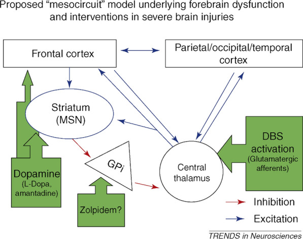 Recovery of consciousness after acute brain injury: a narrative review.