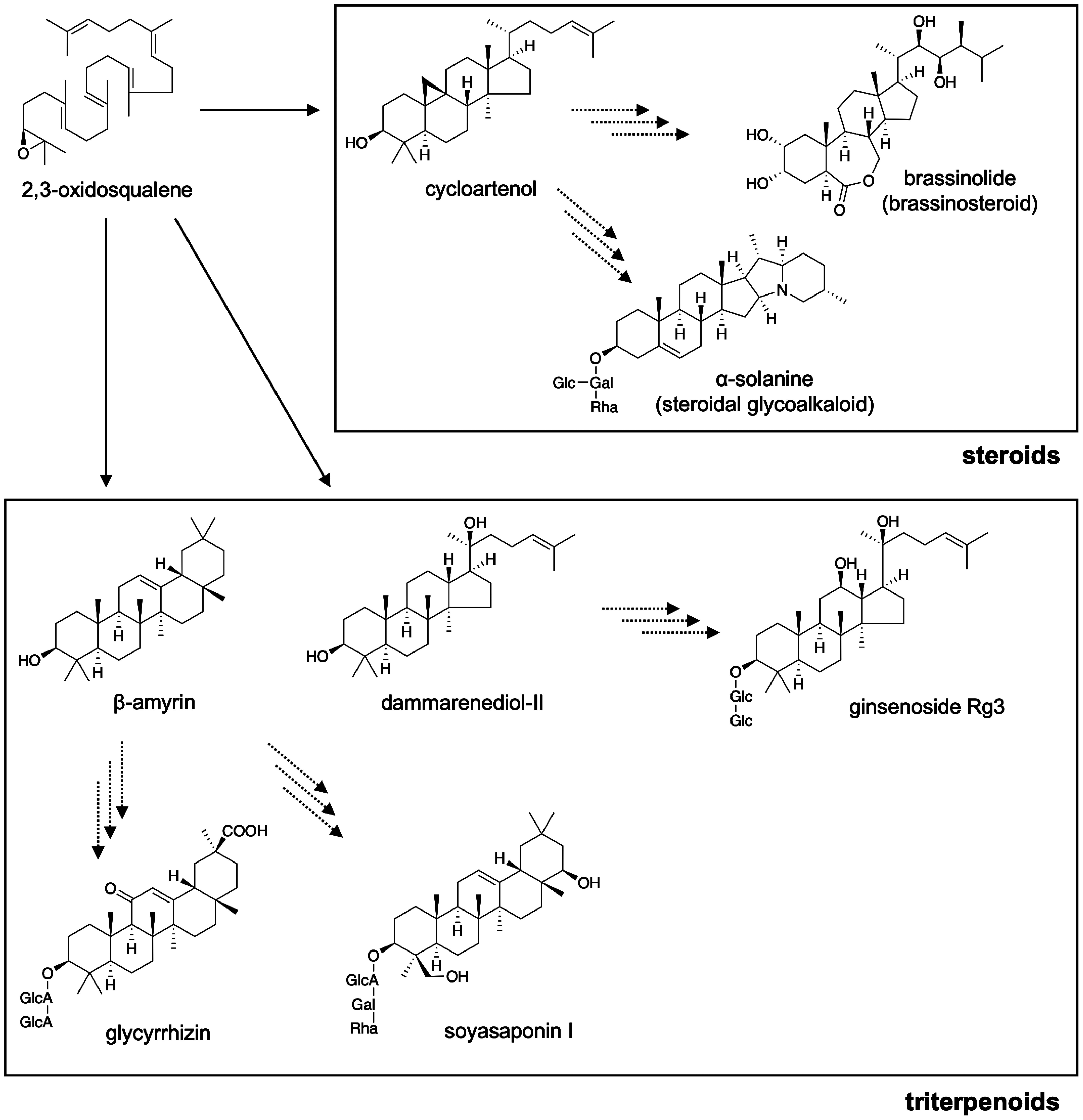 Triterpene RDF: Developing a database of plant enzymes and transcription factors involved in triterpene biosynthesis using the Resource Description Framework.