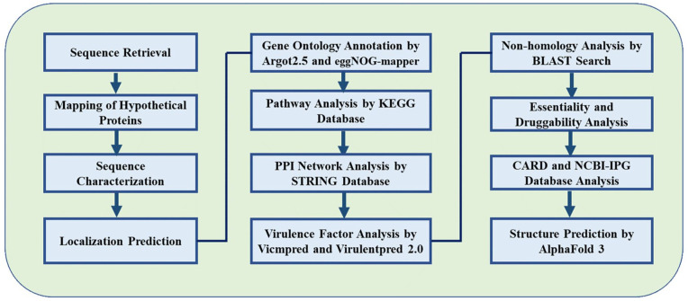 Identification and Functional Annotation of Hypothetical Proteins of Pan-Drug-Resistant <i>Providencia rettgeri</i> Strain MRSN845308 Toward Designing Antimicrobial Drug Targets.