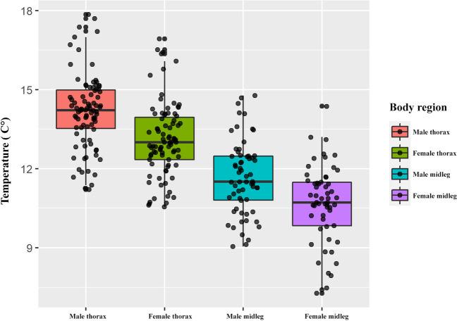 Hot males: thermal biology of males and females during coercive mating in water striders Gerris lacustris