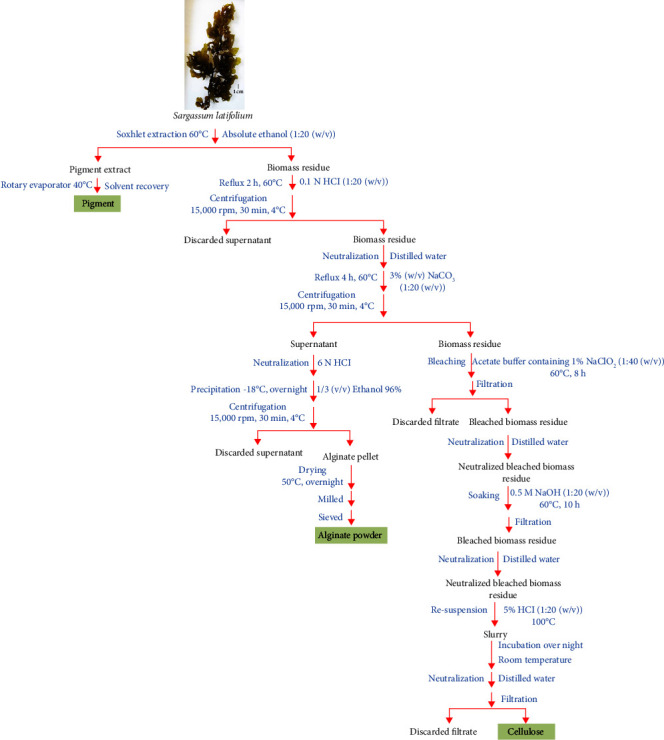 A Study on the Potential of Valorizing <i>Sargassum latifolium</i> into Biofuels and Sustainable Value-Added Products.