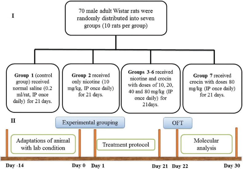 Preventive Effects of Crocin, a Key Carotenoid Component in Saffron, Against Nicotine-Triggered Neurodegeneration in Rat Hippocampus: Possible Role of Autophagy and Apoptosis.