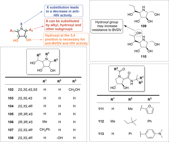 Expanding horizons of iminosugars as broad-spectrum anti-virals: mechanism, efficacy and novel developments