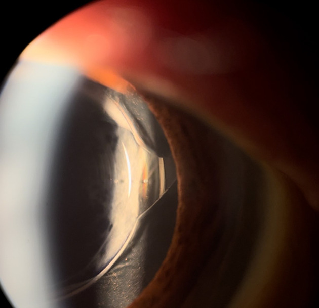 Abstract Image
