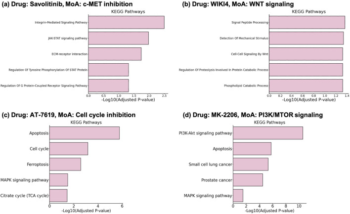 DGDRP: drug-specific gene selection for drug response prediction via re-ranking through propagating and learning biological network.
