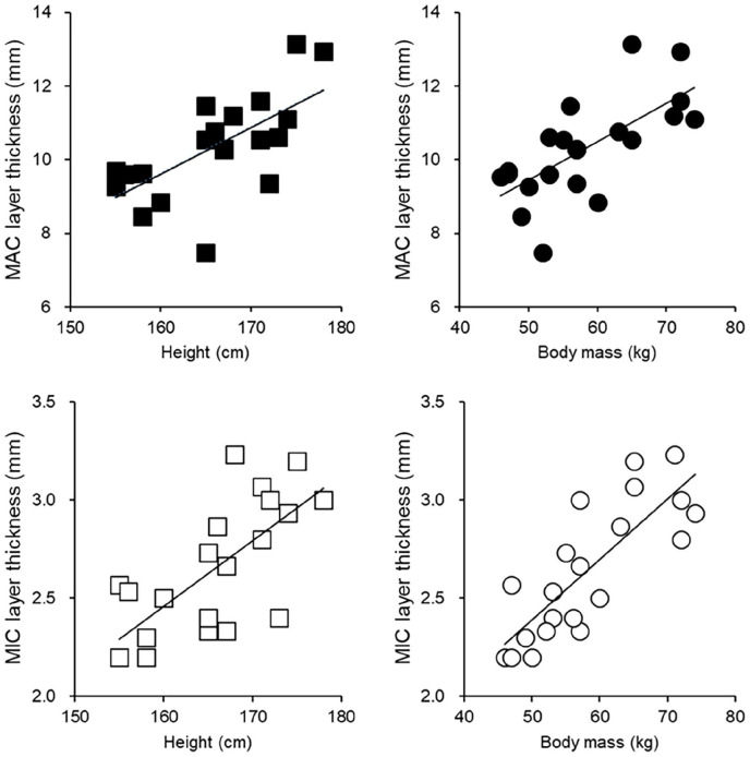 Effect of Height and Weight on Heel Fat Pad Movements Between Microchamber and Macrochamber Layers in Loading and Unloading.
