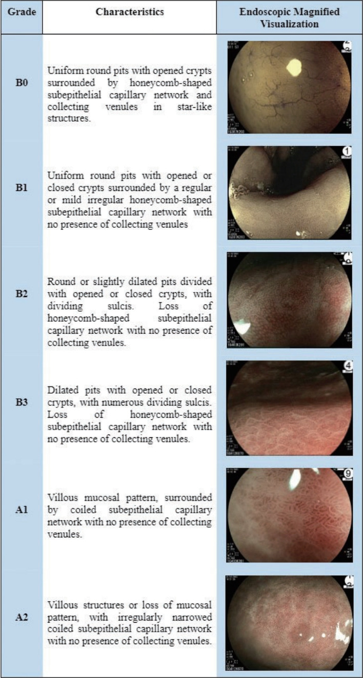 Chronic Atrophic Gastritis and Intestinal Metaplasia: A Latin American Perspective.