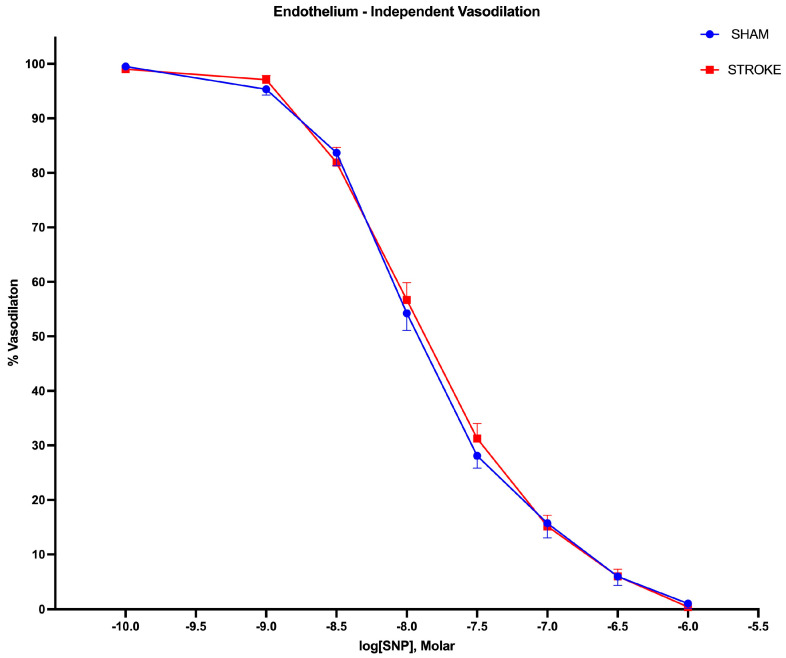 Impaired Peripheral Vascular Function Following Ischemic Stroke in Mice: Potential Insights into Blood Pressure Variations in the Post-Stroke Patient.