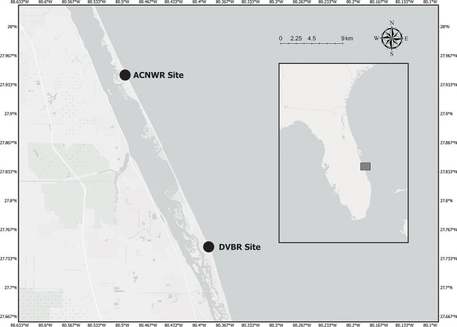 Health assessment of nesting loggerhead sea turtles (<i>Caretta caretta</i>) in one of their largest rookeries (central eastern Florida coast, USA).