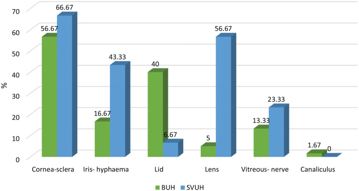 Pattern of eye trauma among pediatric ophthalmic patients in upper and lower Egypt: A prospective two-center medicolegal study.